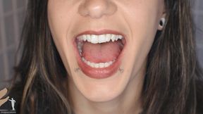 GreasyRose Mouth Tour