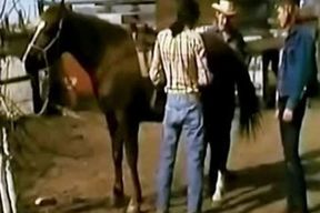 Unexpected Rawhide (1971) Part two