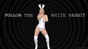 Follow the WHITE RABBIT!