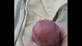 엄마 팬티로 자위