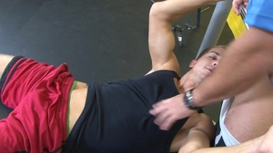 Trystan Bull: Trystan the Trainer, the Teaser, the Pleaser