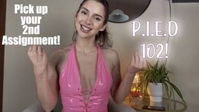P.I.E.D Assignment Part 2 of 4
