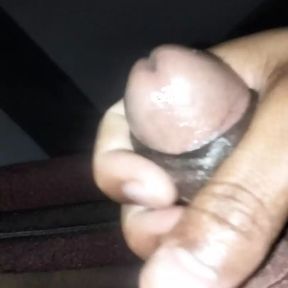 Dark brown cock