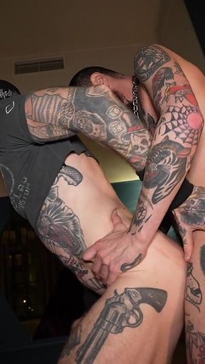 Stallion Papi