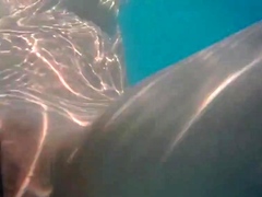 Skinny Dipping and Teasing in the Garden Pool - Amateur Teen