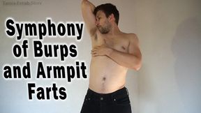 Symphony of Burps and Armpit Farts 480p - Tom burps and makes armpit farts then he gets topless and takes pants off standing in his underwear clearly showing bloated belly