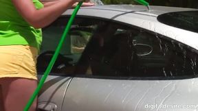 Tomato's solo dirt
