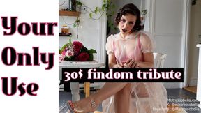 Permission to Stare: Your Money is Your Only Use | Luxe Findom Goddess in Lingerie & Roses