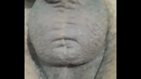 Arxidia etoima na skasoun