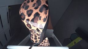 Jerk off to the sound of leather gloves and the dangling of a giantess d