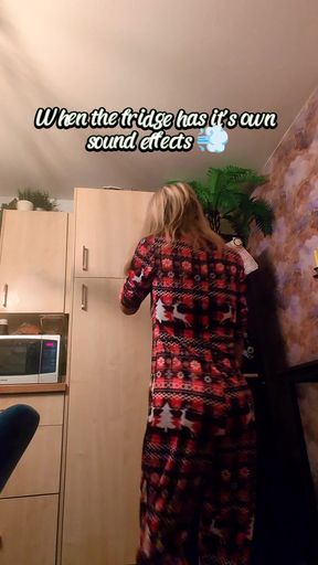 The fridge gets accused of mischief once more