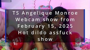 ts angelique monroe - webcam show from february 15, 2025