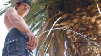 Ian Madrox Waters A Palm Tree With His Piss