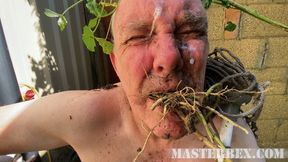 Pissed on and spat on and treated like filth - Master Bex - MP4 SD