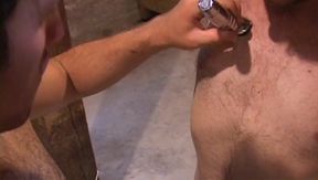Shaved