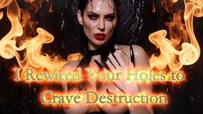I Rewired Your Holes to Crave Destruction