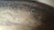 سكس عربي نيك عرب شرموطة جامده