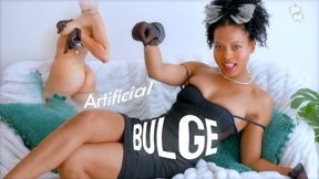 Artificial Bulge