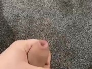 Scottish Wank