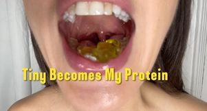 Tiny Becomes Protein Snack