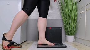 Mila in Birkenstock - Laptop - Total destruction (P01)