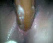 Shoving my big black dildo in soaking wet pussy while masturbating at home