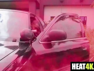 Greenhouse of Gotham