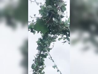 Amsterdam Netherlands Mute