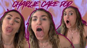 Plexiglass Princess Charlie Cake