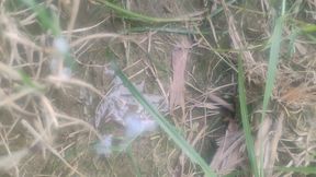 Khait me Lund hila rha me