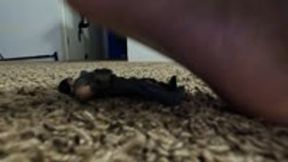 Giantess Dominates Teenie Solder with Sexy Feet 1080 smaller