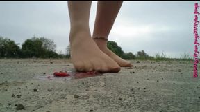 Nylon Foot Strawberry Crushed, Crushing Outdoor