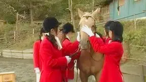 Japanese Beauty Gets Fucked Hard In The Barn Stalls