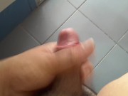 Fat Boy Solo on mirror