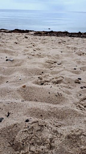 Penis humiliation at the nudist beach. Ball stretcher for my full, heavy balls and a spiked ring for my soft, loser dick.