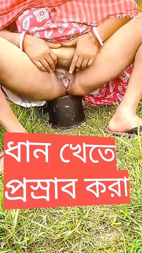 peesing in paddy fields