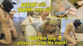 Petplay with tranny mean girl! Stupid puppy is only allowed to hump the couch!