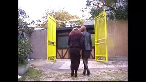 The Lesvic Ruins (film)