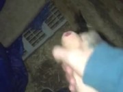 In the back yard for the neighbors