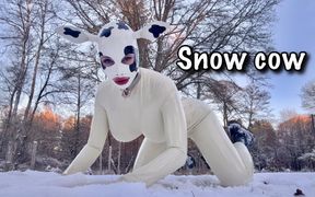 Snow Cow