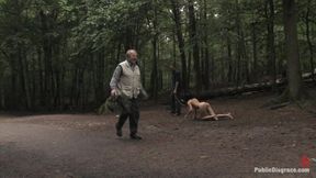 The Dog Walk