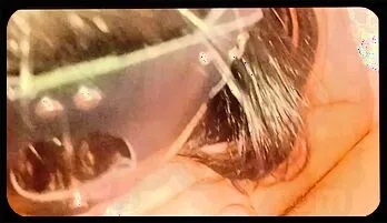 Wild Doggy Style Fun with a Curvy Mature Beauty