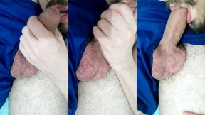bezerro mamando meu pau