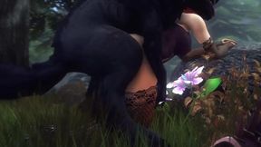 Assumi in the wood