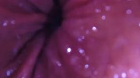 No Escape From Giantess MXDominion Asshole POV 1080