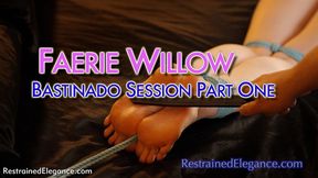 Faerie Willow's Bastinado Session: Part One (VID0813A, 1080p MP4)