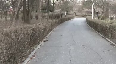 Fuck my self in the public park