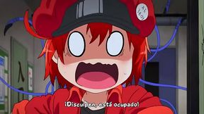 Work Cell Anime – Hataraku Saibou Episode 1 Eng Sub Hentai Adventure Begins