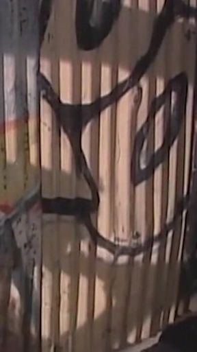 Retro Fuck with Real Orgasm