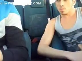 Cute guys sucking and kissing in the car